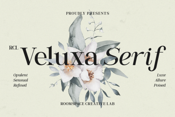 Download Veluxa Serif - Premium Resources